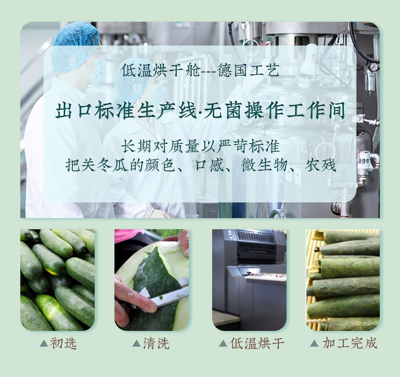 大肚茶加工采用德國工藝低溫烘干