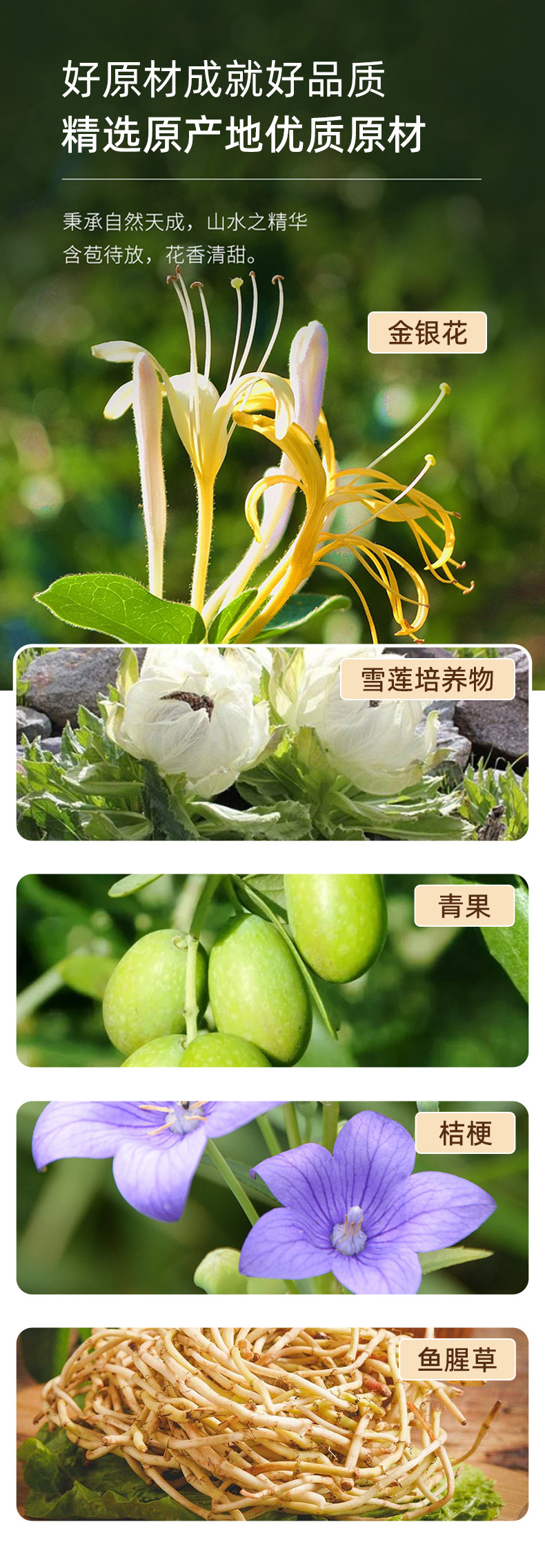 詳情頁_04.jpg