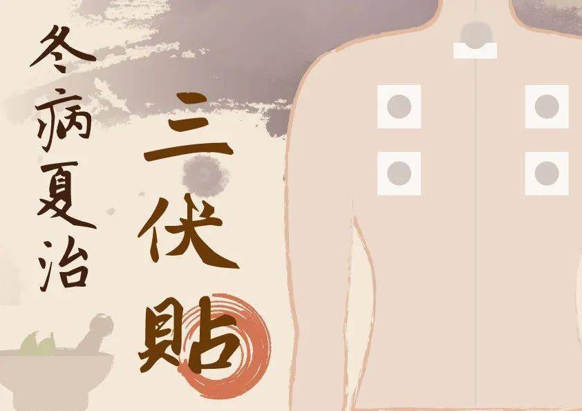 【詳解】什么是三伏貼？三伏貼的功效與注意事項！